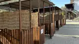 База отдыха «Динамо», г. Анапа