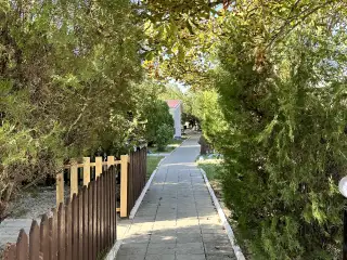 База отдыха «Динамо», г. Анапа