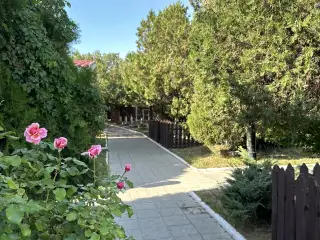 База отдыха «Динамо», г. Анапа